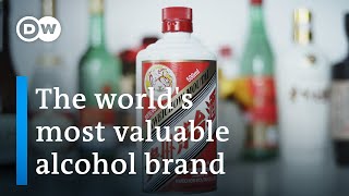 Moutai – Chinas communist spirit  DW Documentary [upl. by Eerolam]