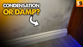 Is This Condensation or Rising Damp [upl. by Ahsikel]