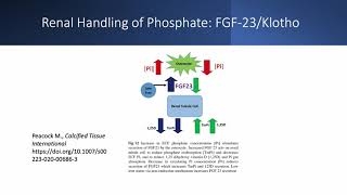 Phosphorus Part 3 Phosphate Homeostasis 2 [upl. by Joshi805]