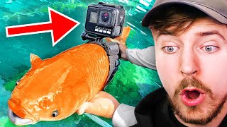 I Strapped A GoPro To A Fish [upl. by Aleda]