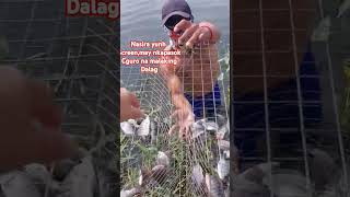 Di na kailangan bumili pa ng pang ulamsave na ung budget viralpost fishingvideo [upl. by Kaine]