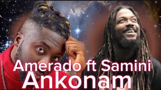 Amerado ft Samini  Ankonam remix Reaction [upl. by Grazia]