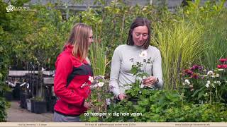 Laubjergs Planteskole og Havecenter 🌱🌹 [upl. by Syah]