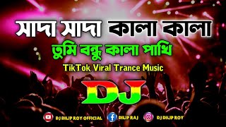 Shada Shada Kala Kala Dj  সাদা সাদা কালা কালা  Hawa  TikTok  Viral Trance Music  Dj Dilip Roy [upl. by Ikairik]