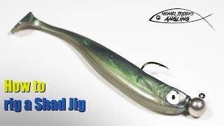 How to rig a Shad Jigswimbait  Basic angling tips [upl. by Keelby955]