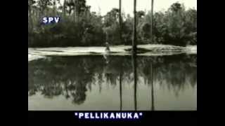 Vaaduka Marachedavela  Pelli Kanuka 1960 [upl. by Aldarcy677]