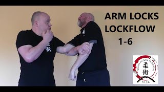 ARM LOCKS LOCK FLOW 16 [upl. by Irem504]