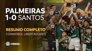 Palmeiras vs Santos FC 10  FINAL  PALMEIRAS CAMPEÃO  Libertadores 2020  HIGHLIGHTS COMPLETO [upl. by Nelyaw522]