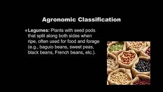 Classification of Crops [upl. by Lusa221]