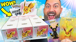 Pokemons Secret 150 Box Has EVERY Eevee Card Inside [upl. by Ashlan]