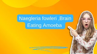 Naegleria fowleri Brain Eating Amoeba [upl. by Madoc]