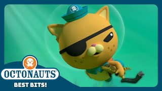 Octonauts  😼 Kwazii Protects a Baby Gator From a Hungry Mob 🐊  Season 4  Best Bits [upl. by Tamarah]