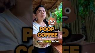 Inside The Most EXPENSIVE Coffee Farm in Bali [upl. by Adolphus537]