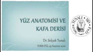 Yüz Anatomisi ve Kafa Derisi [upl. by Nafri497]