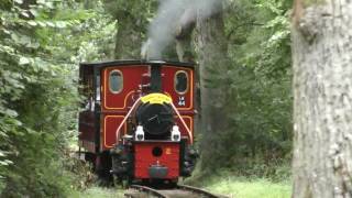 Stradbally Steam Railway [upl. by Ahtanoj]