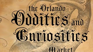 Oddities and Curiosities market in Kissimmee fl [upl. by Eidnam851]