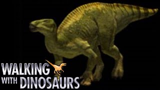 Walking with Dinosaurs 1999  Iguanodon Screen Time [upl. by Rawdan]