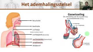 Bio  Het ademhalingsstelsel en de gaswisseling uitgelegd  H8 1 [upl. by Liemaj]