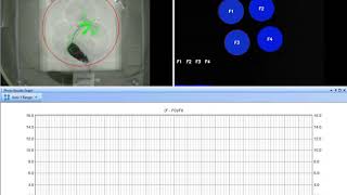 CineLyzer with Photometry [upl. by Adnilev]