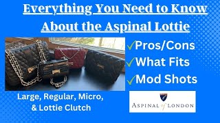 Aspinal of London Lottie Review Large Regular Micro amp Clutch  Comparison Mod Shots What Fits [upl. by Mellisa429]