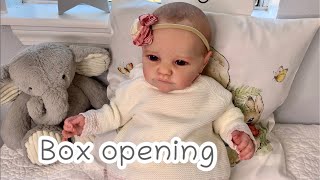 Box opening of a new chubby baby girl SHE IS ADORABLE Tobiah Laura lee Eagles [upl. by Moorefield]