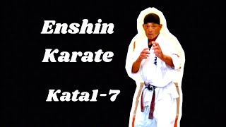 Enshin KarateSabakiKata 17 円心空手 型 [upl. by Brighton248]