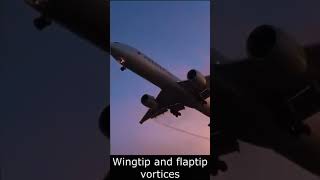 Wingtip and Flaptip Vortices  Aircraft Aerodynamics [upl. by Nnaer]