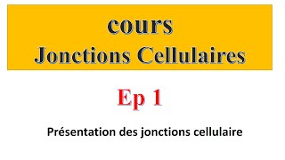 cours jonctions cellulaires Ep 1  présentation des jonctions cellulaire [upl. by Anot934]