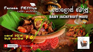 පොළොස් මෝජු  Polos Moju  Baby Jackfruit recipe [upl. by Macmillan421]