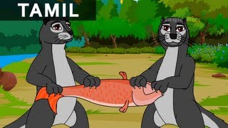 Fox And The Otters  ஓநாயும் நீர்க்கீரிகளும்  Jataka Tales In Tamil  MagicBox Tamil Stories [upl. by Clie]