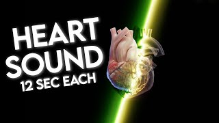 Heart sounds  Heart sounds and murmurs  Auscultation • Daily Cardiology [upl. by Aden]