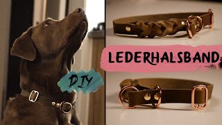 DIY  LEDERHALSBAND für Hunde  selber machen [upl. by Erida415]