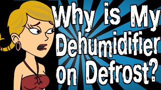 Why is My Dehumidifier on Defrost [upl. by Alidus]