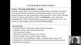 PHYLUM NEMATHELMINTHES [upl. by Barbra752]