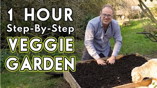 New Vegetable Garden How To Get Started [upl. by Stevy]