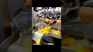 This Is How Eggs Are Made  Shocking 😳 [upl. by Ikkim]