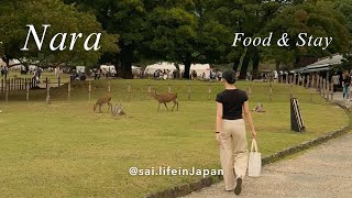 Japan vlog  Nara Food amp Stay Recommendation [upl. by Palila]