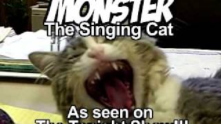 Monster the Singing Cat [upl. by Starling]