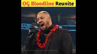 Roman Reigns and Sami Zayn reunite The Og Bloodline shorts wwe [upl. by Spear]