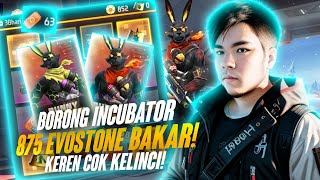 INCUBATOR 3 IN 1 RABBIT BUNDLE BORONG SEMUA 875 Evo Stone [upl. by Dustin]