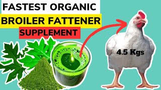 FASTEST ORGANIC BROILER FATTENER SUPPLEMENT  Fattening Broilers Has Never Been This Easy [upl. by Boggs335]