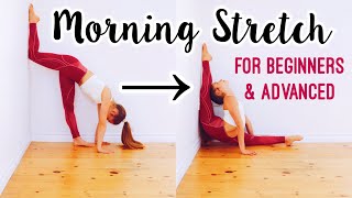 Do this Every Morning to get Flexible Morning Flexibility Stretch Routine [upl. by Gaudette]