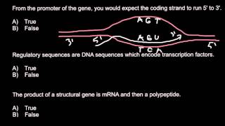 In which direction mRNA transcribed [upl. by Eniaral]