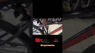 Schnell single speed cycle 29’’ frok disc brakes shortvideo [upl. by Llevron853]