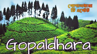 Gopaldhara Tea Estate Homestay  Gopaldhara Tea Estate Mirik  Gopaldhara Darjeeling BongCouples [upl. by Beret354]