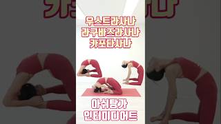 아쉬탕가 인터미디어트 우스트라사나 라구바즈라사나 카포타사나 ASHTANGA YOGA [upl. by Clein]