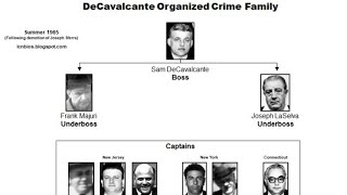 DeCavalcante Crime Family Suspected Member organizedcrime mafia newjersey [upl. by Nuhsyar]