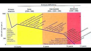 Understanding CD4 counts [upl. by Dawkins]