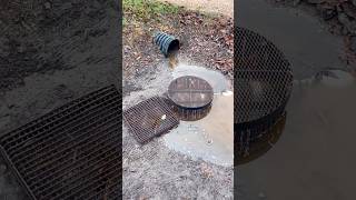 cleanout drainpipe waterflow drain holes fall leaves wet muddywater trees autumn winter [upl. by Apurk879]