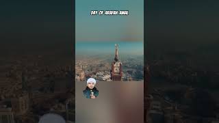 day of arafah Amal  अमाल यौम ए अराफा hajj2024 makkah viral shorts Arafa ke din ki Fazilat [upl. by Clevie]